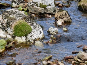 Eine typisch norwegische Mischung, Wasser, Steine und Moos.